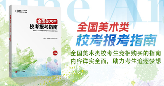 美術(shù)生?？紙?bào)考指南